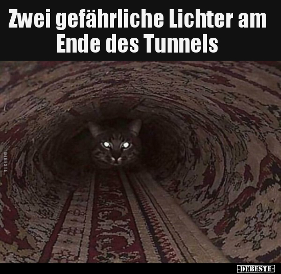 Zwei gefährliche Lichter am Ende des Tunnels.. - Lustige Bilder | DEBESTE.de