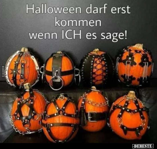 Halloween darf erst kommen wenn ICH es sage!.. - Lustige Bilder | DEBESTE.de