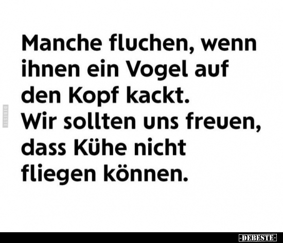 Lustige Bilder zum Thema: Wenn, Vogel, Freuen, Kühe, Fliegen