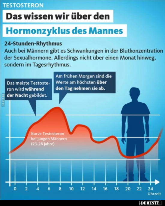 Testosteron - Das wissen wir über den Hormonzyklus.. - Lustige Bilder | DEBESTE.de