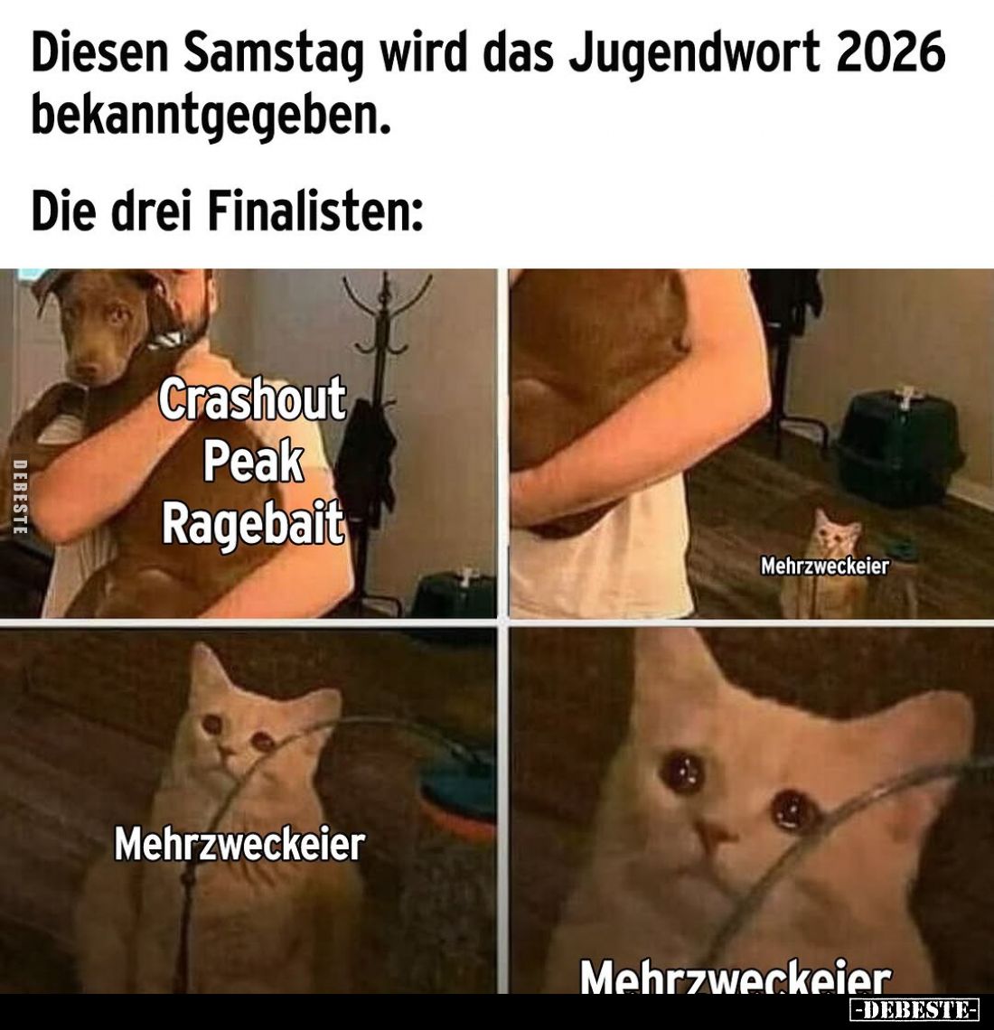 Diesen Samstag wird das Jugendwort 2026 bekanntgegeben.
Die drei Finalisten:
Crashout Peak Ragebait
-
Mehrzweckeier