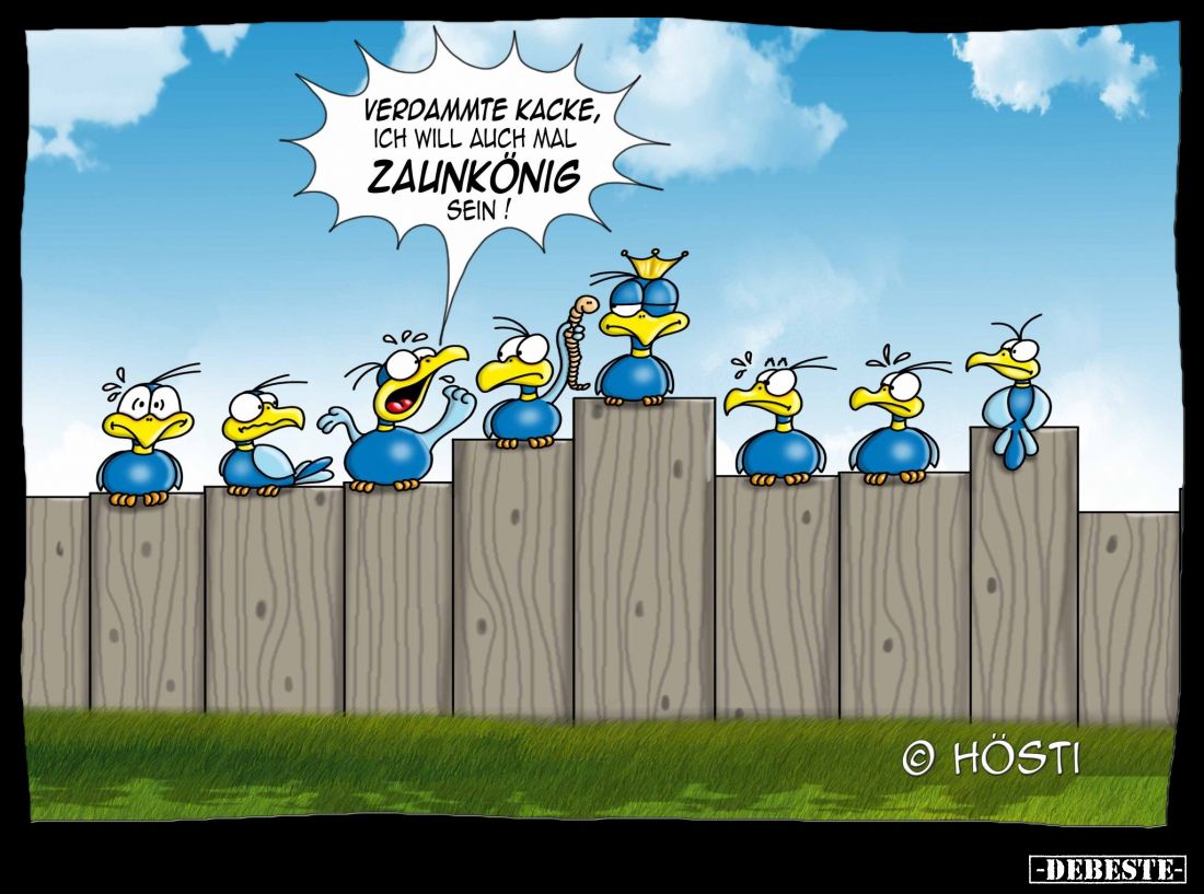 Verdammte Kacke, ich will auch mal Zaunkönig sein!