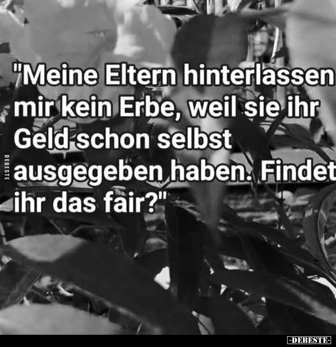 "Meine Eltern hinterlassen mir kein Erbe, weil sie ihr Geld.." - Lustige Bilder | DEBESTE.de