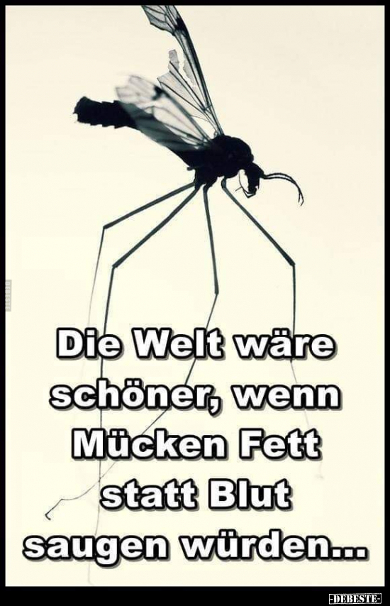 Die Welt wäre schöner, wenn Mücken Fett statt Blut saugen.. - Lustige Bilder | DEBESTE.de