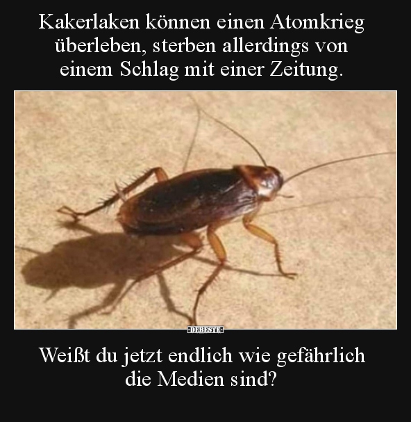 Kakerlaken können einen Atomkrieg überleben, sterben.. - Lustige Bilder | DEBESTE.de