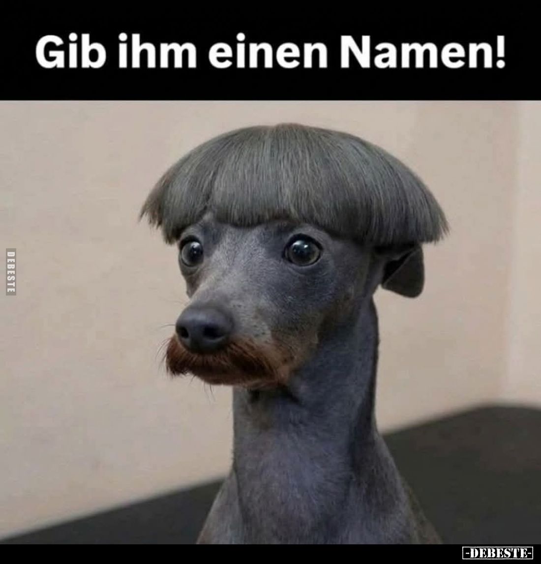 Gib ihm einen Namen!.. - Lustige Bilder | DEBESTE.de