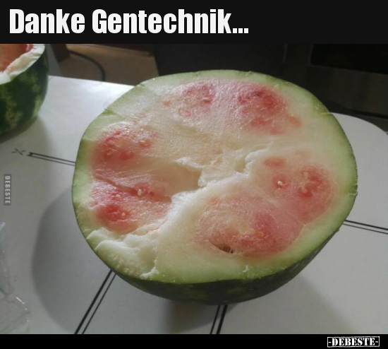 Danke Gentechnik... - Lustige Bilder | DEBESTE.de
