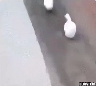 Es ist niemandem aufgefallen, verhalte dich ganz normal..