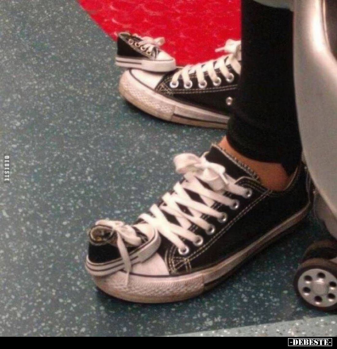  - Lustige Bilder | DEBESTE.de