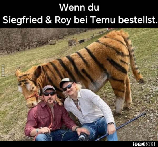 Wenn du Siegfried & Roy bei Temu bestellst.. - Lustige Bilder | DEBESTE.de