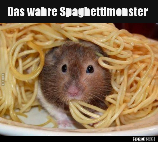 Das wahre Spaghettimonster..