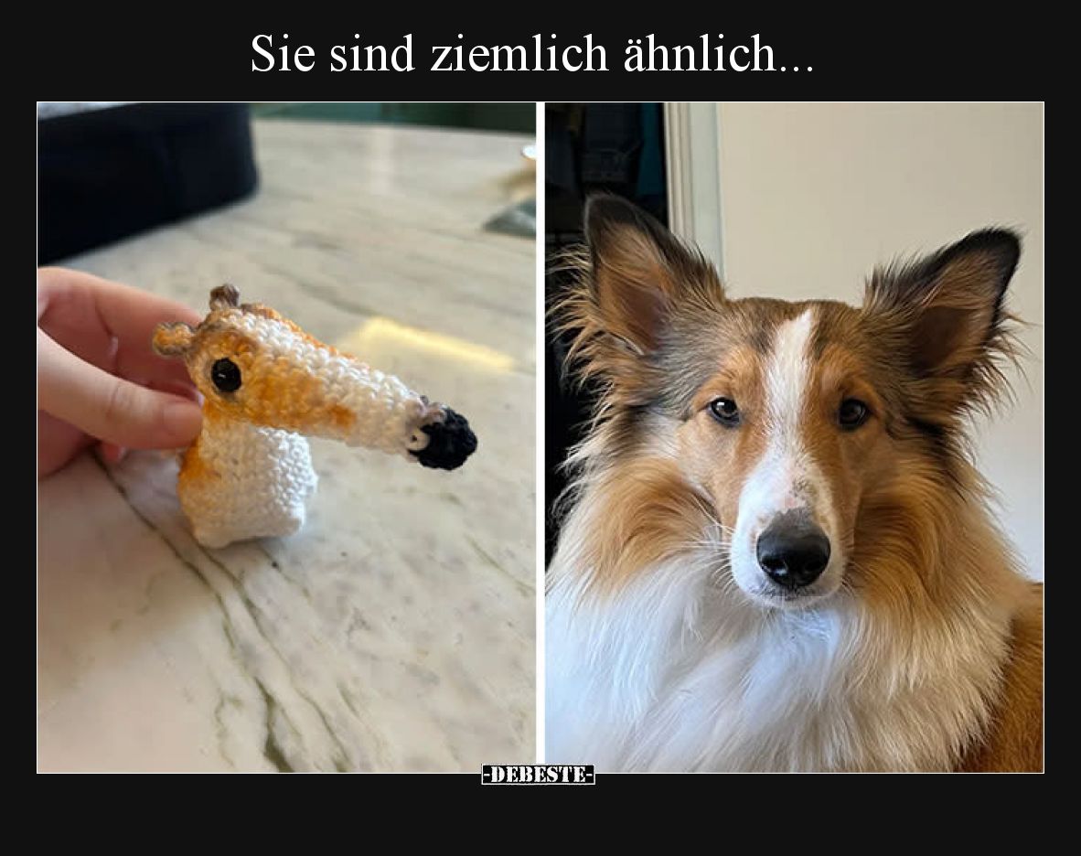 Sie sind ziemlich ähnlich...