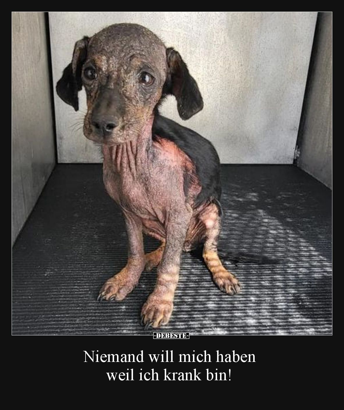 Niemand will mich haben weil ich krank bin!