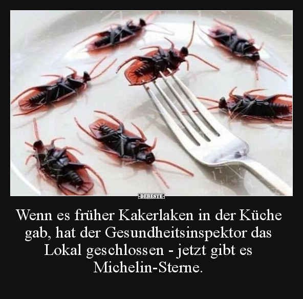 Wenn es früher Kakerlaken in der Küche gab, hat der.. - Lustige Bilder | DEBESTE.de