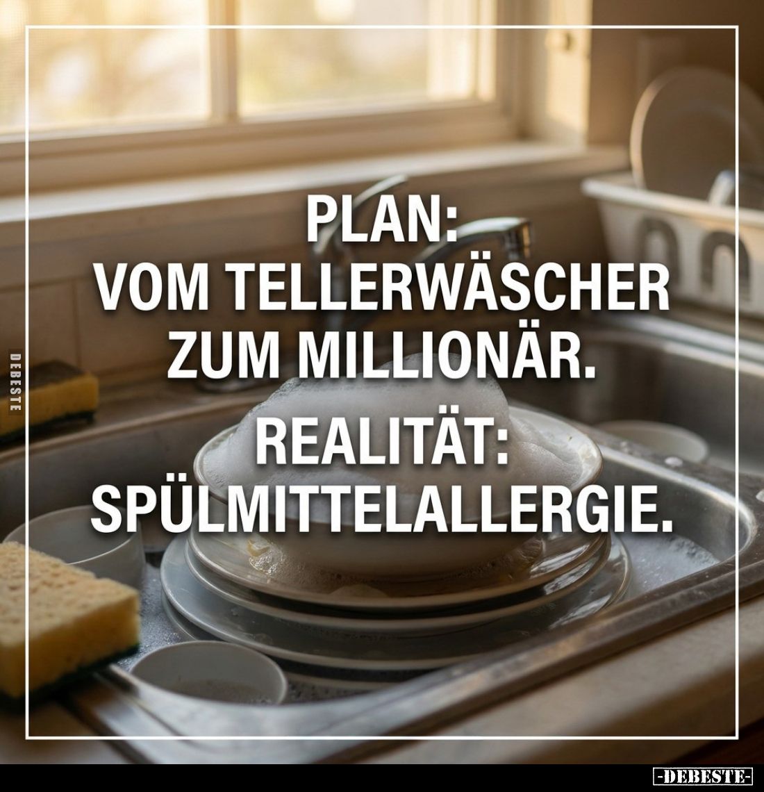 Plan: Vom Tellerwäscher zum Millionär.
Realität: Spülmittelallergie.
