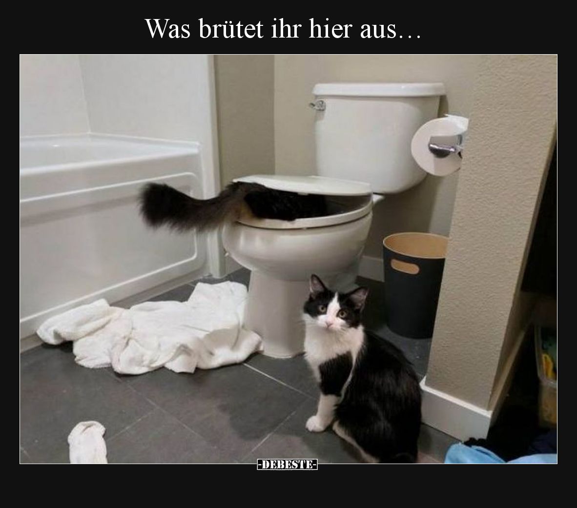 Was brütet ihr hier aus…