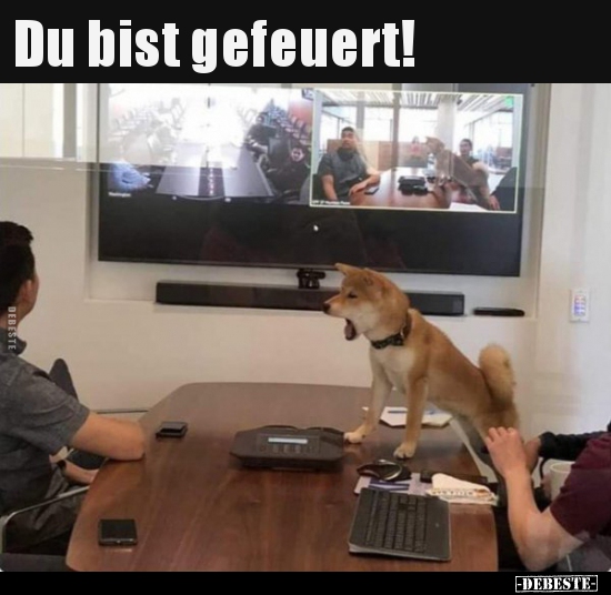 Du bist gefeuert!.. - Lustige Bilder | DEBESTE.de