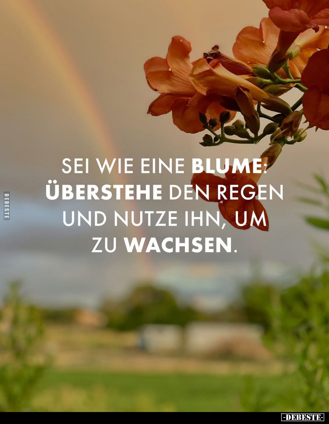 Sei wie eine Blume: Überstehe den Regen und nutze ihn, um zu wachsen.