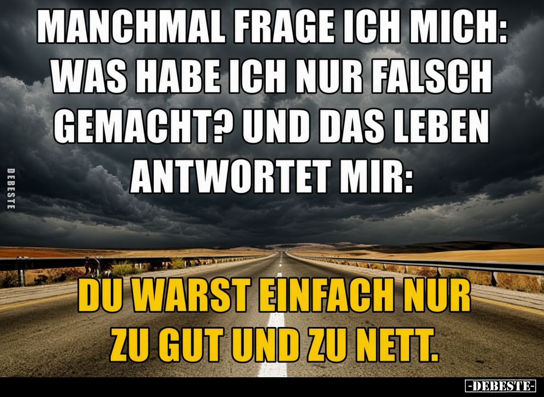 Manchmal frage ich mich:
was habe ich nur falsch gemacht? Und das Leben antwortet mir:
Du warst einfach nur zu gut und zu...