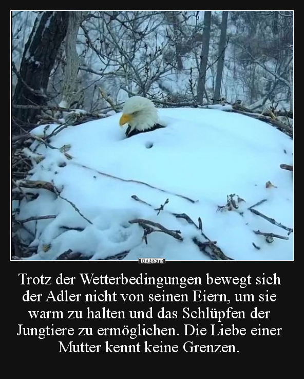 Trotz der Wetterbedingungen.. - Lustige Bilder | DEBESTE.de