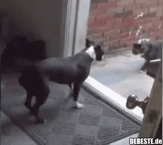 Kommst du jetzt rein oder nicht?