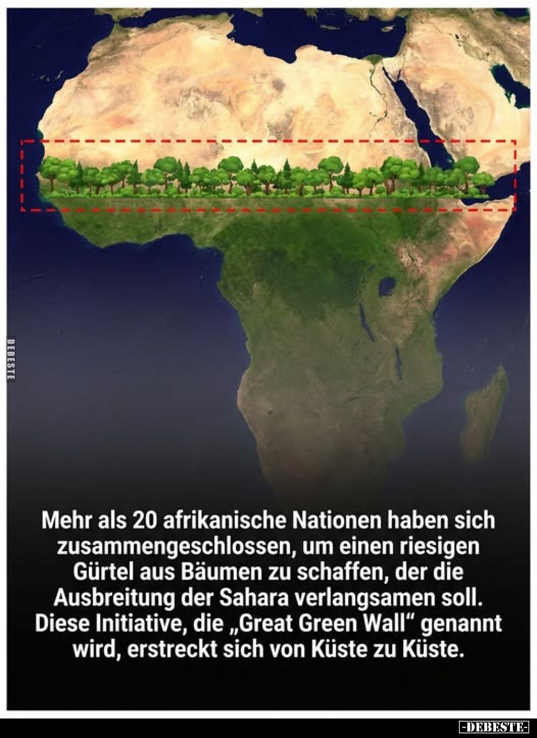 Mehr als 20 afrikanische Nationen haben sich zusammengeschlossen, um einen riesigen Gürtel aus Bäumen zu schaffen, der die Au...