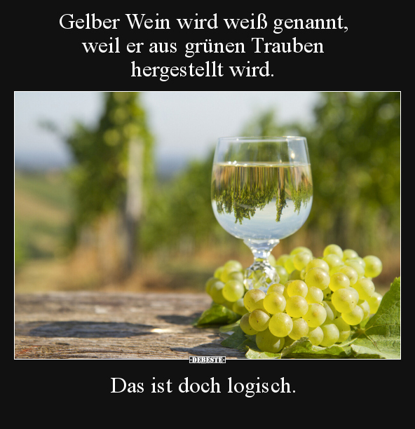 Gelber Wein wird weiß genannt, weil er aus grünen Trauben.. - Lustige Bilder | DEBESTE.de