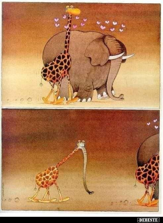  - Lustige Bilder | DEBESTE.de