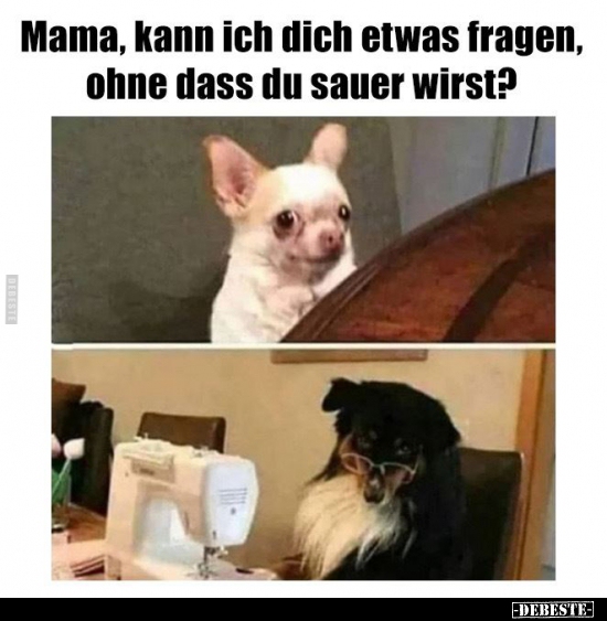 Mama, kann ich dich etwas fragen, ohne dass du sauer.. - Lustige Bilder | DEBESTE.de