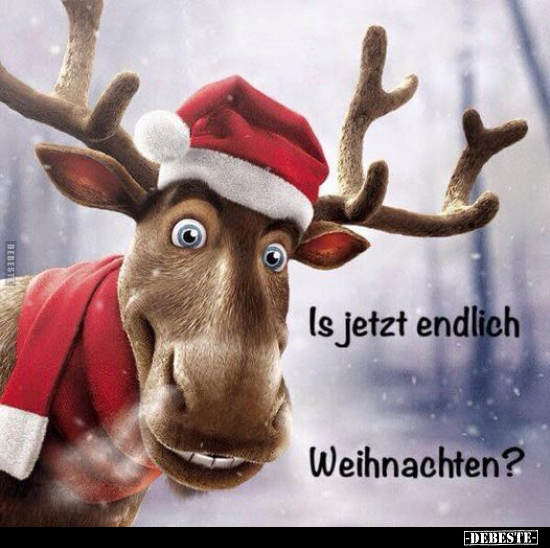 Is jetzt endlich Weihnachten?.. - Lustige Bilder | DEBESTE.de