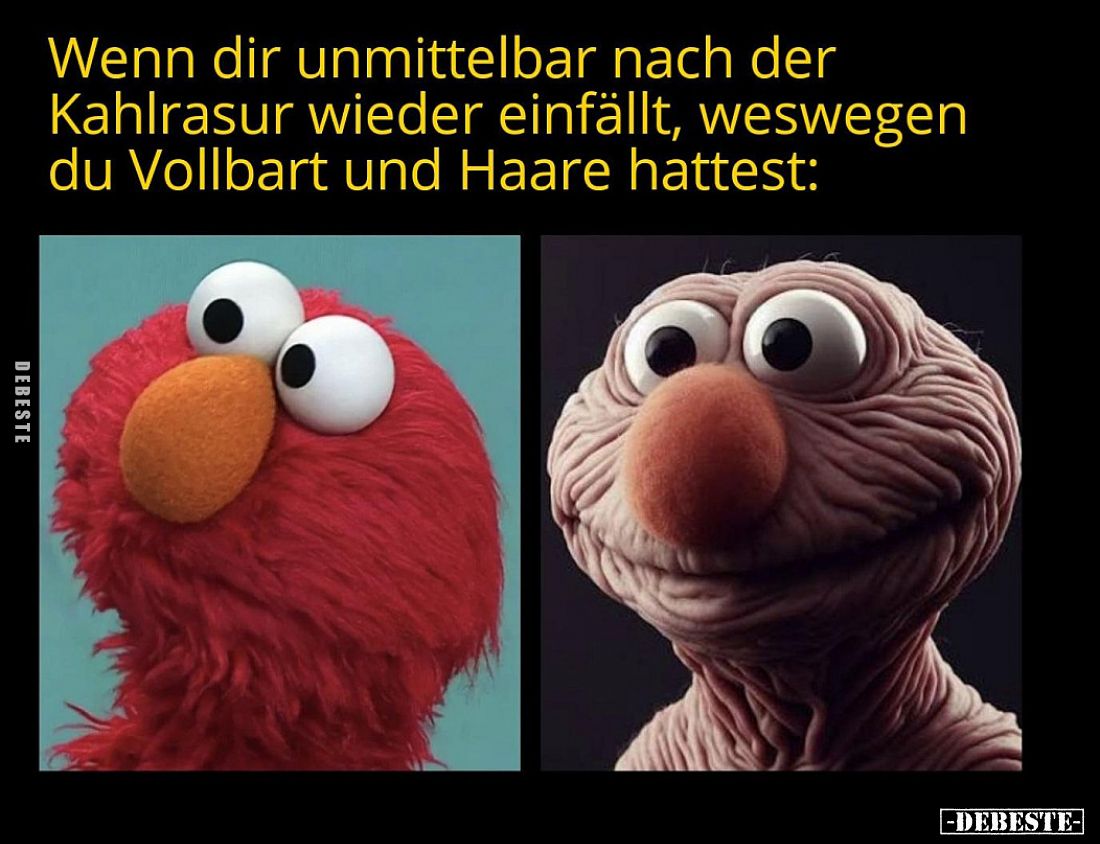 Wenn dir unmittelbar nach der Kahlrasur wieder einfällt, weswegen du Vollbart und Haare hattest: