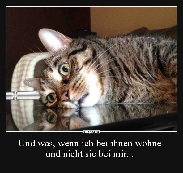 Ohne