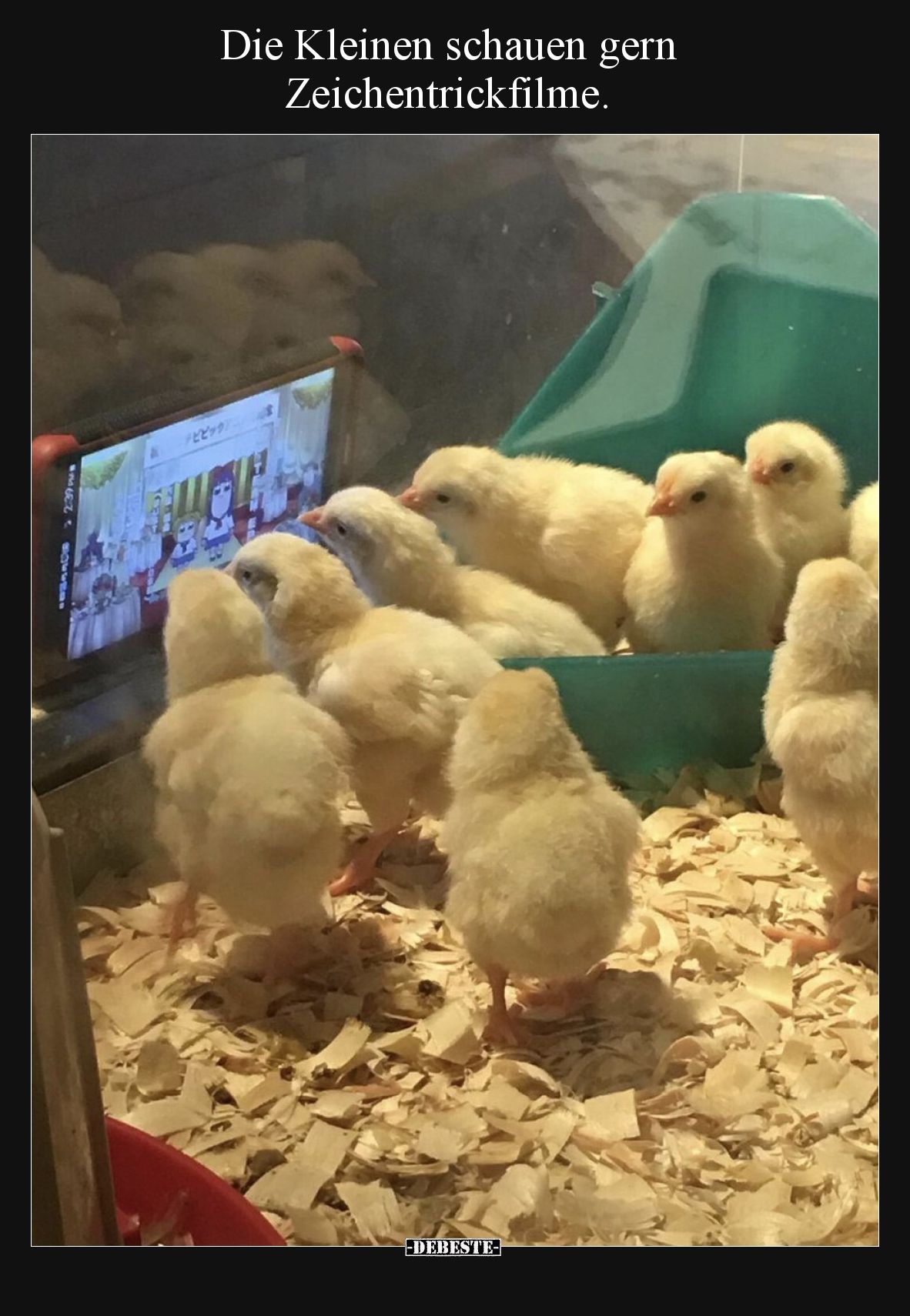 Die Kleinen schauen gern Zeichentrickfilme.