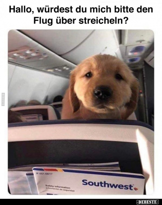 Hallo, würdest du mich bitte den Flug über streicheln?