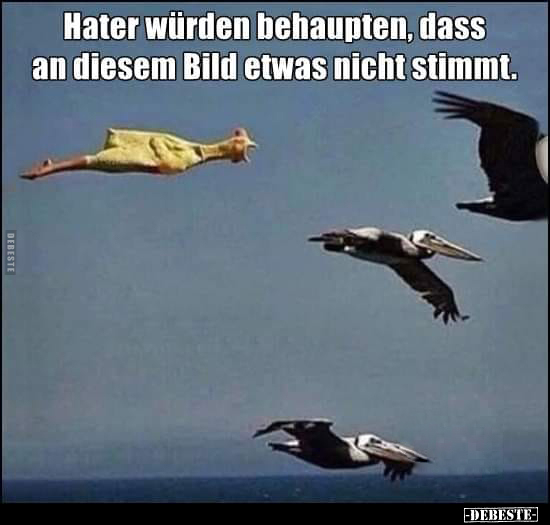 Hater würden behaupten, dass an diesem Bild etwas nicht.. - Lustige Bilder | DEBESTE.de