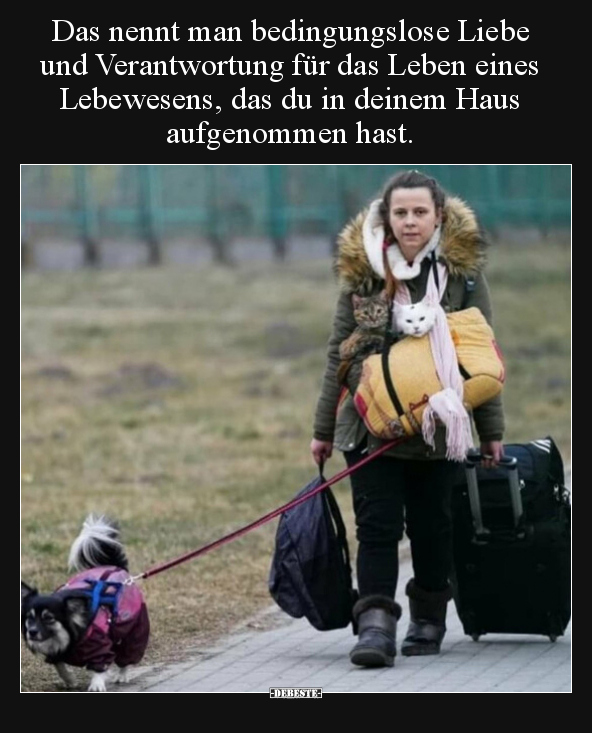 Das nennt man bedingungslose Liebe und Verantwortung für.. - Lustige Bilder | DEBESTE.de