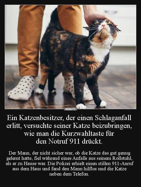 Ein Katzenbesitzer, der einen Schlaganfall.. - Lustige Bilder | DEBESTE.de