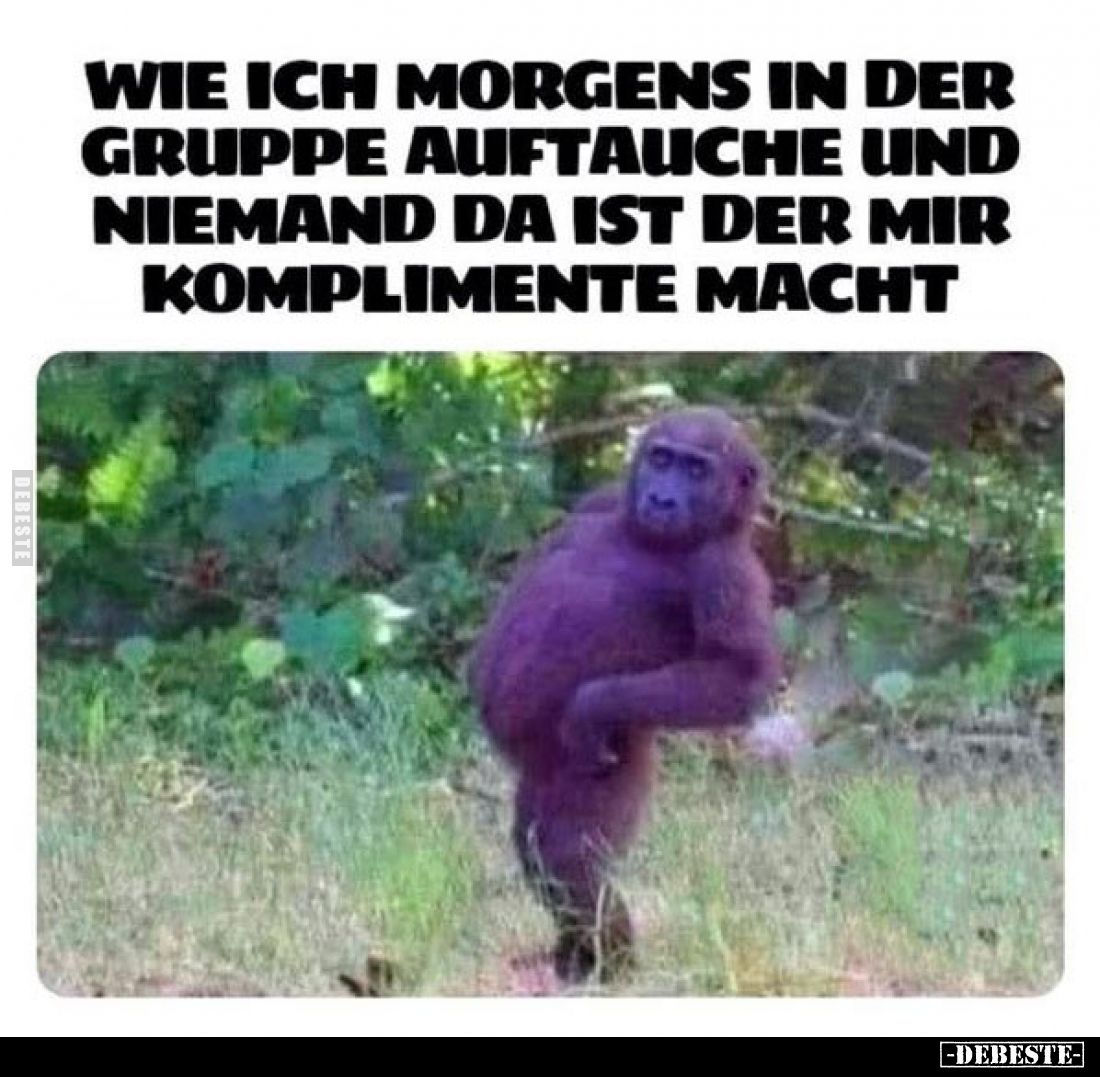 Wie ich morgens in der Gruppe auftauche und niemand da ist der mir Komplimente macht