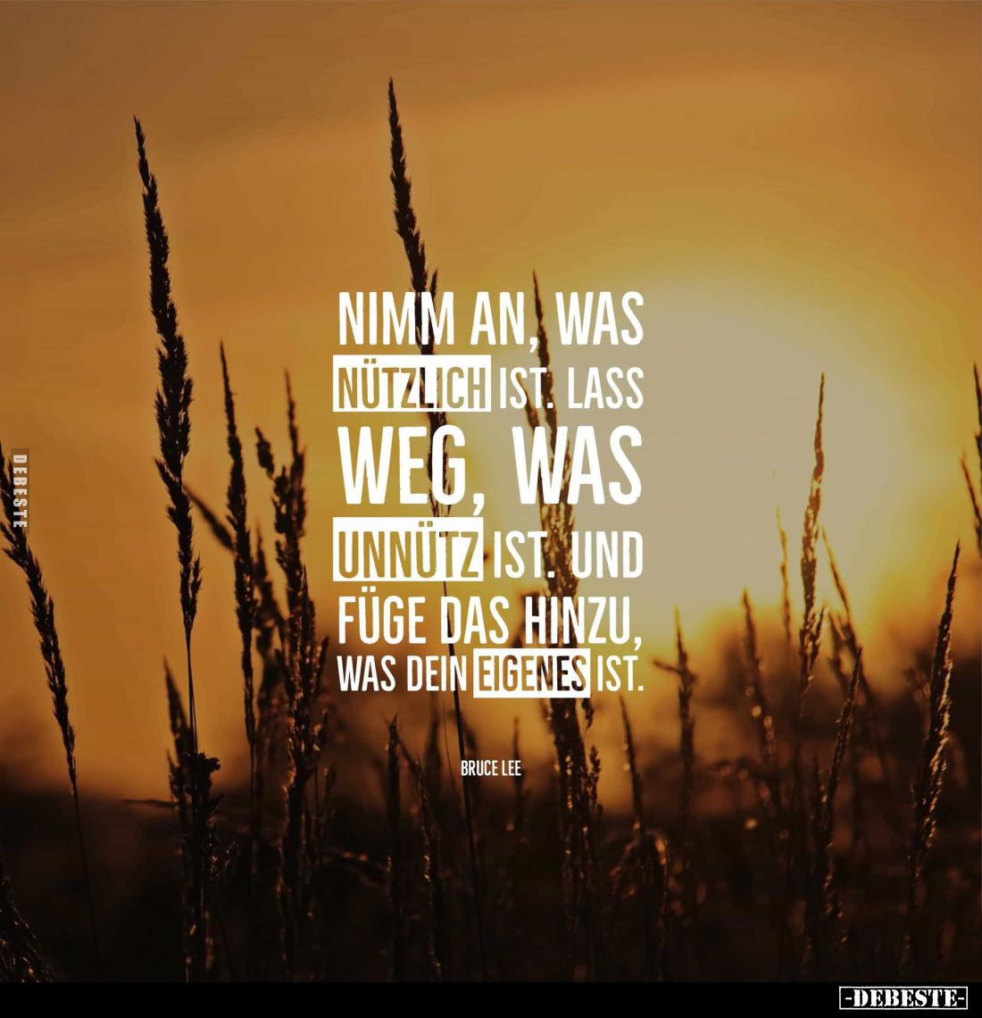 Nimm an, was nützlich ist lass weg, was unnütz ist und füge das hinzu, was dein eigenes ist.