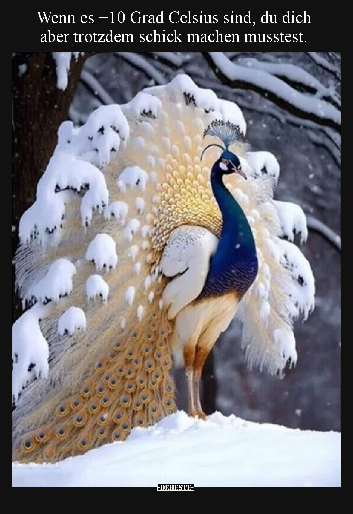 Wenn es −10 Grad Celsius sind, du dich aber trotzdem schick machen musstest.