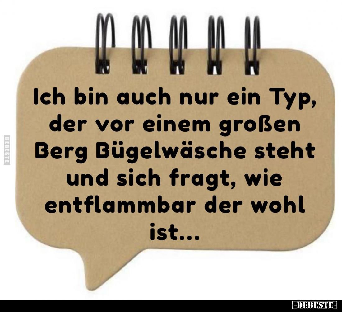 Ich bin auch nur ein Typ, der vor einem großen Berg Bügelwäsche steht und sich fragt, wie entflammbar der wohl ist...