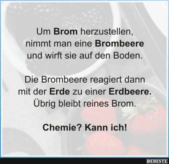Um Brom herzustellen, nimmt man eine Brombeere.. - Lustige Bilder | DEBESTE.de