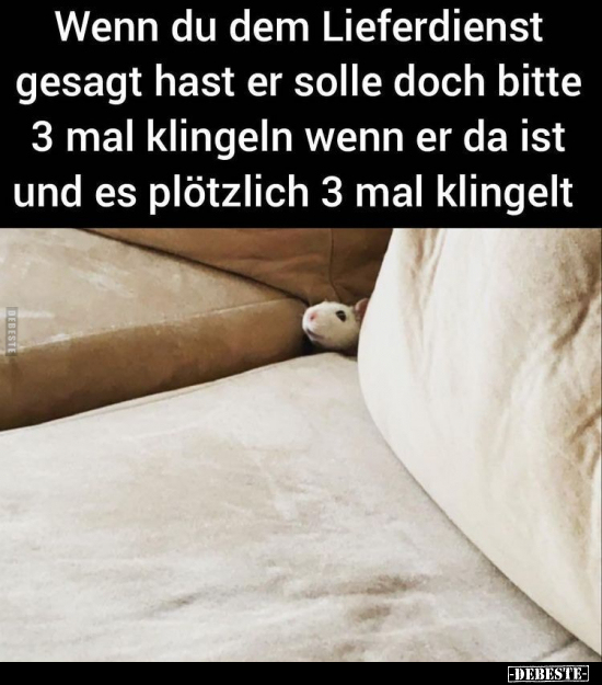 Wenn du dem Lieferdienst gesagt hast er solle doch bitte 3 mal klingeln wenn er da ist und es plötzlich 3 mal klingelt