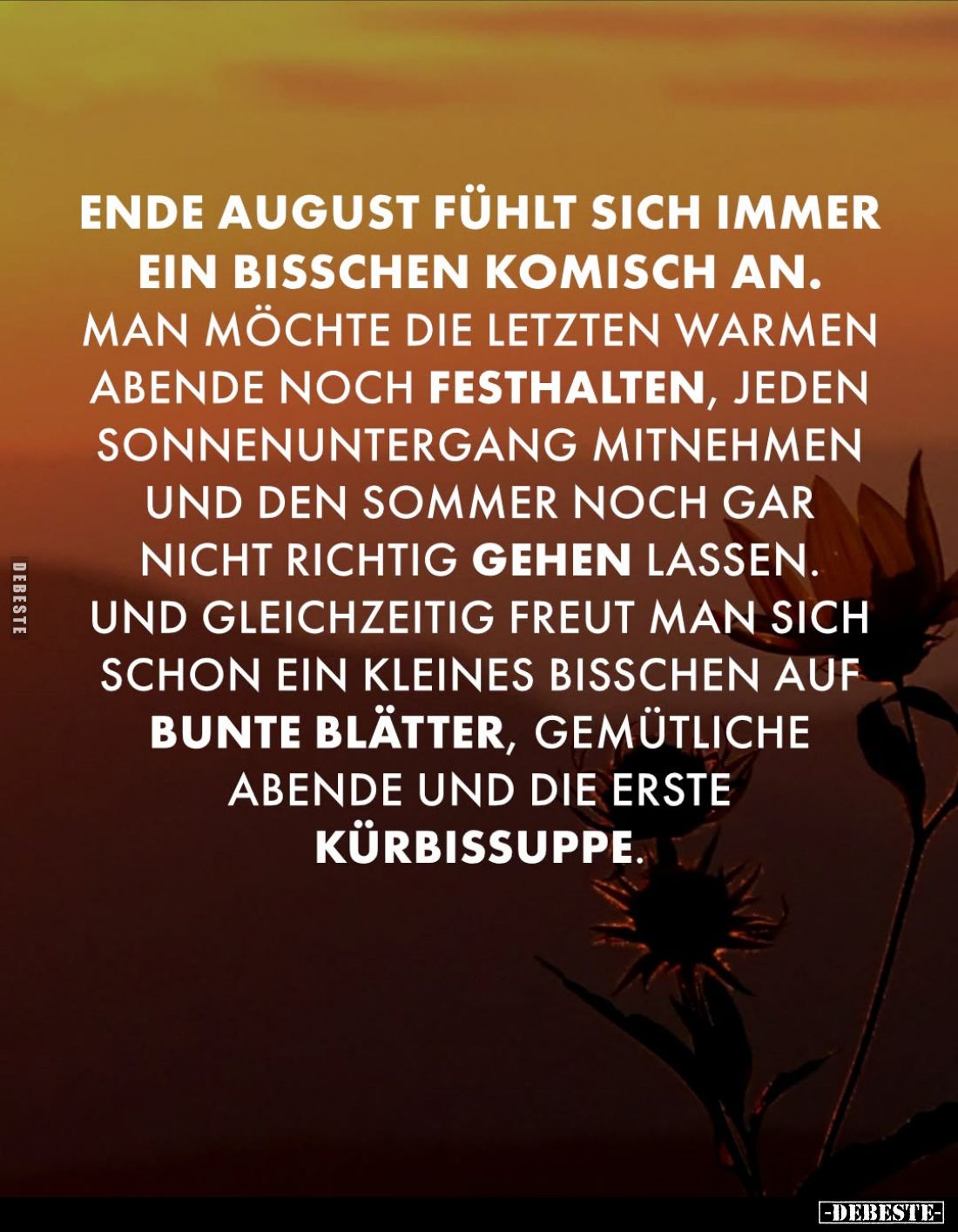 Ende August fühlt sich immer ein bisschen komisch an.
Man möchte die letzten warmen Abende noch festhalten, jeden Sonnenunte...