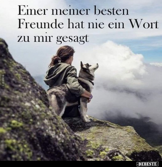 Einer meiner besten Freunde hat nie ein Wort zu mir.. - Lustige Bilder | DEBESTE.de