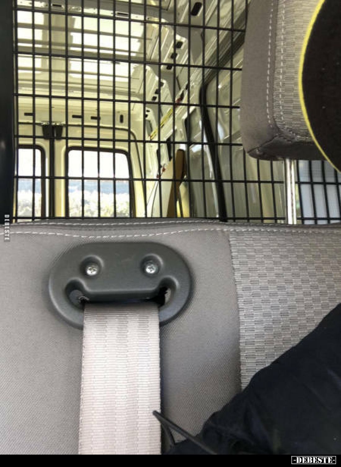  - Lustige Bilder | DEBESTE.de