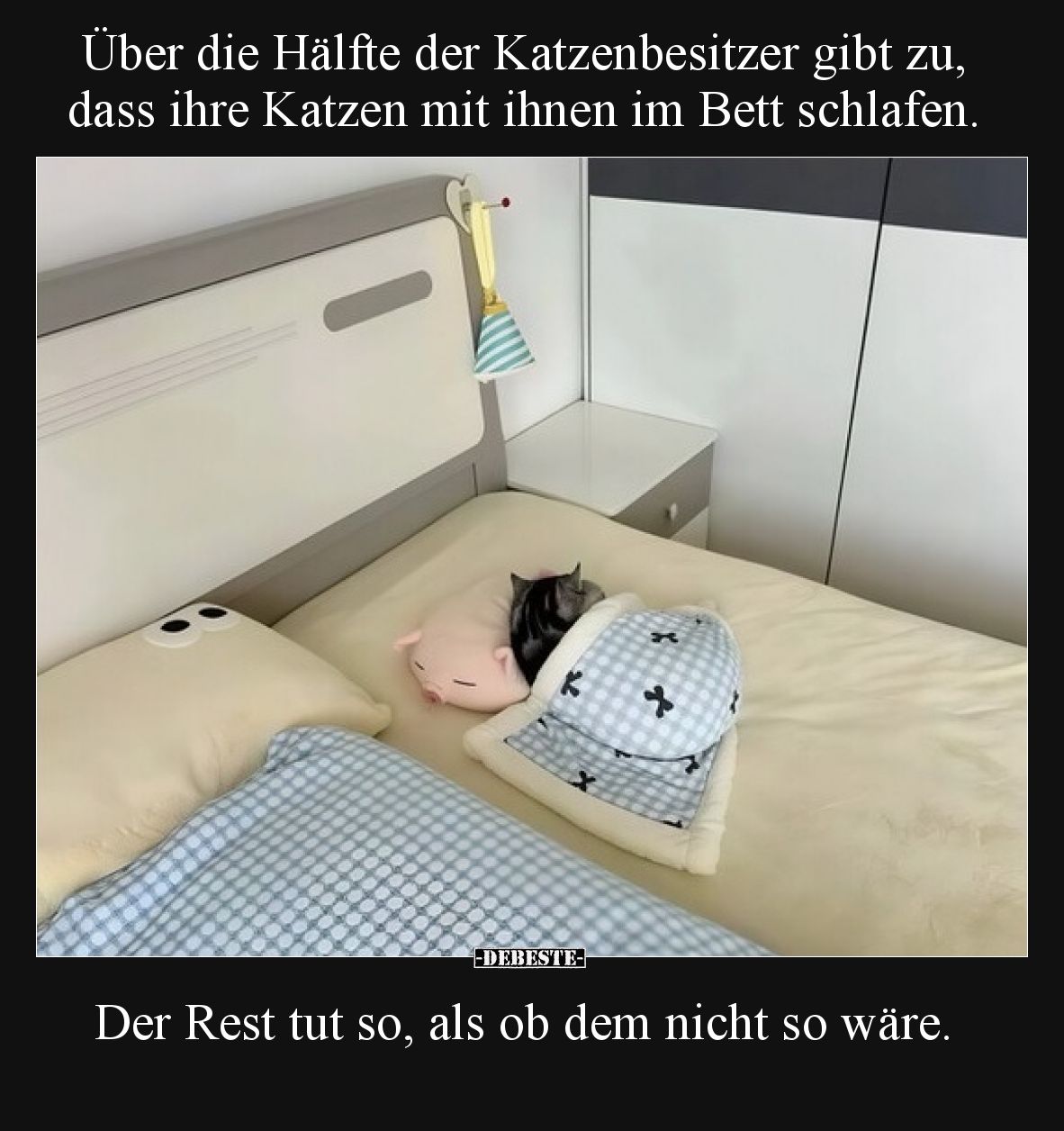 Über die Hälfte der Katzenbesitzer gibt zu, dass ihre Katzen mit ihnen im Bett schlafen.

Der Rest tut so, als ob dem nicht...