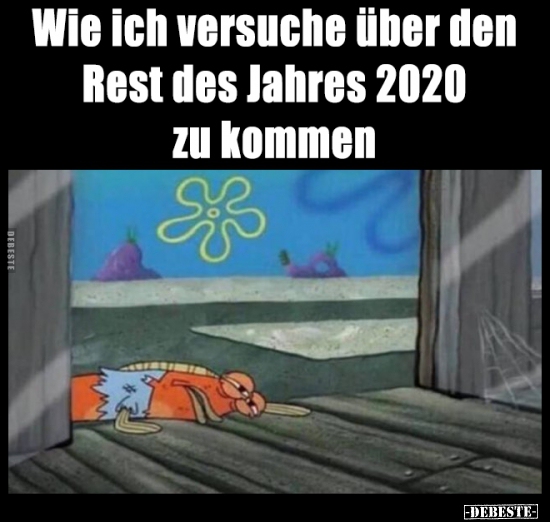 Wie ich versuche über den Rest des Jahres 2020 zu.. - Lustige Bilder | DEBESTE.de