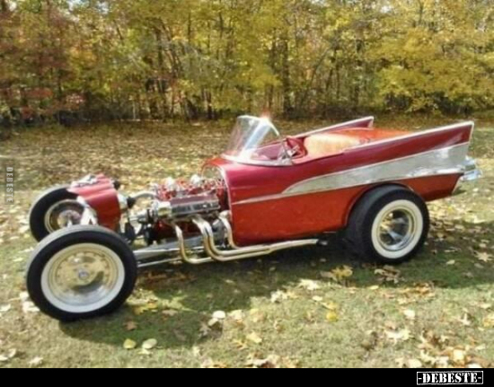  - Lustige Bilder | DEBESTE.de