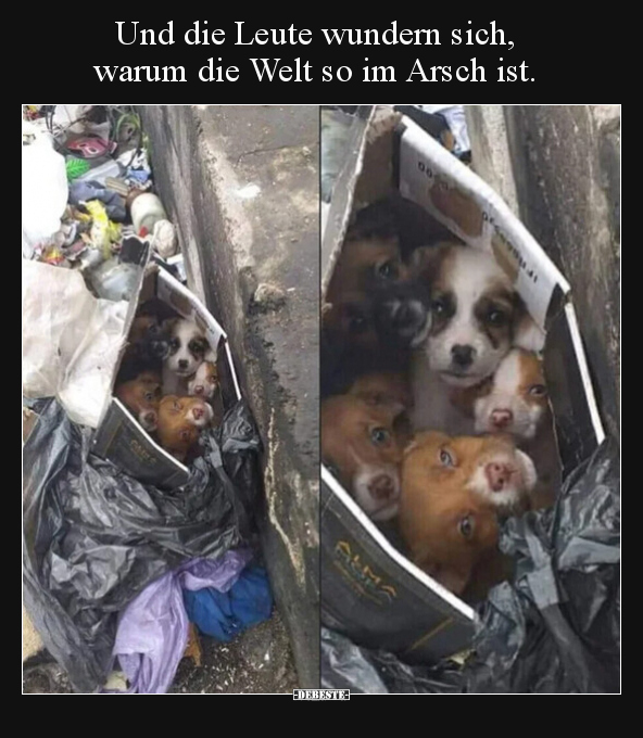 Und die Leute wundern sich, warum die Welt so im Arsch.. - Lustige Bilder | DEBESTE.de